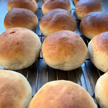 فندق مبيت وإفطار Sevletunet And