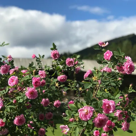 Bed & Breakfast Sevletunet And