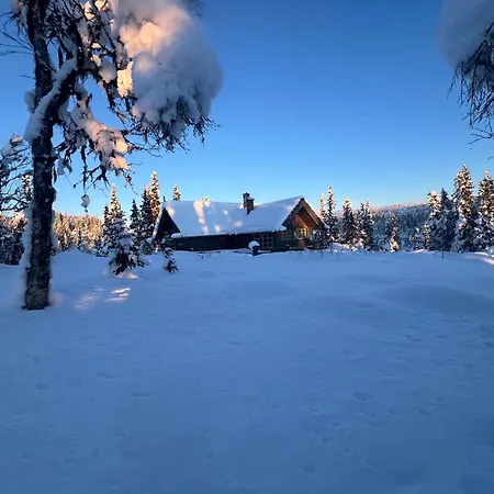 Bed and Breakfast Sevletunet And Rodberg