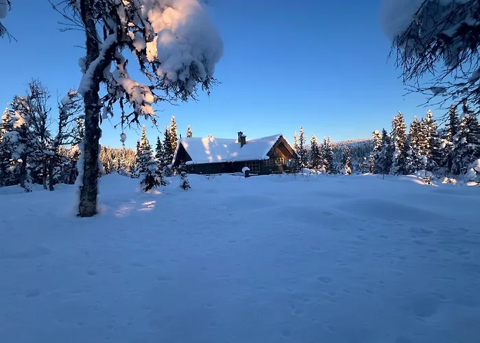 Bed & Breakfast Sevletunet And Rodberg