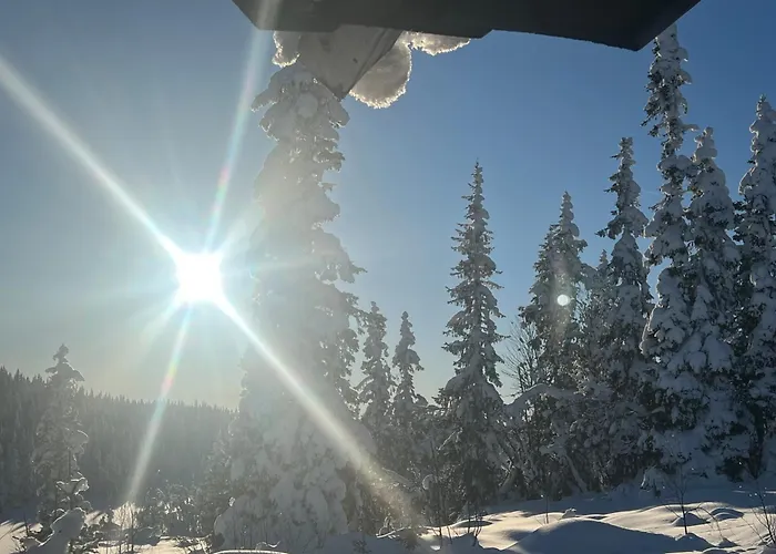 Sevletunet And 4* Rodberg