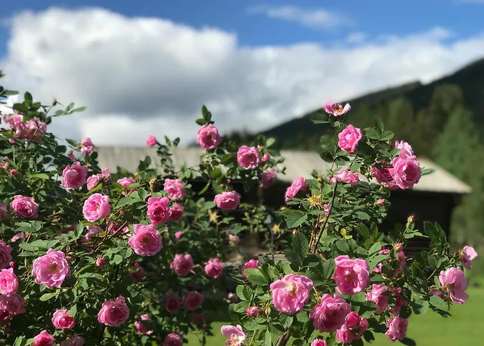 Frühstückspension Sevletunet B&b&cabins
