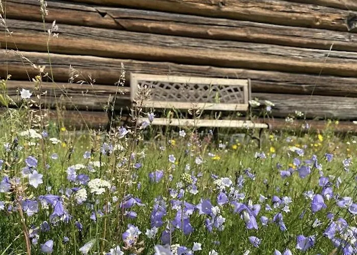 Sevletunet B&b&cabins Frühstückspension Rodberg